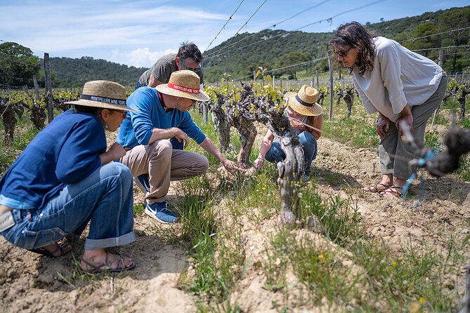 Small-Group Half-Day Languedoc Pic Saint-Loup Wine Tour from Montpellier - Four hours that fit well into a Montpellier stay