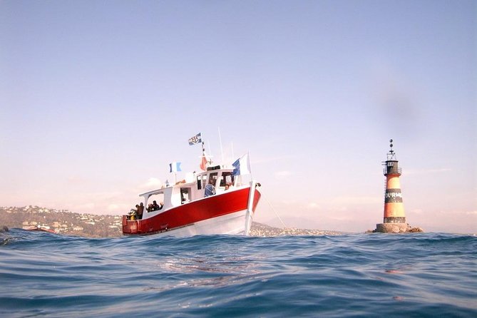 Snorkeling - By boat on site in the Bay of Cannes or Estérel - Wetsuits are included, but pack the basics