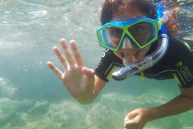 Snorkeling - By boat on site in the Bay of Cannes or Estérel - Sea conditions can make or break the afternoon