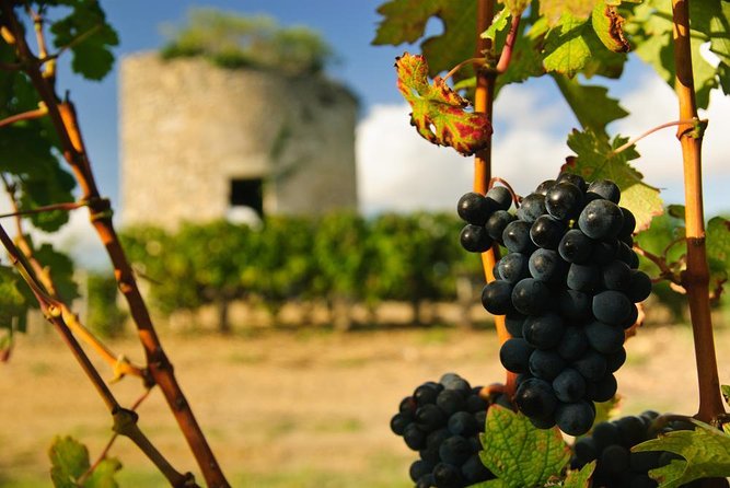 St-Emilion & Médoc Wine Day Tour: Chateaus, Tastings and Lunch - Key things to know before booking