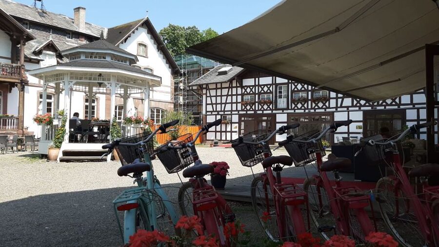 Strasbourg: 1-Day Bike Rental - Starting near the station at 5 Petite Rue du Vieux Marché aux Vins