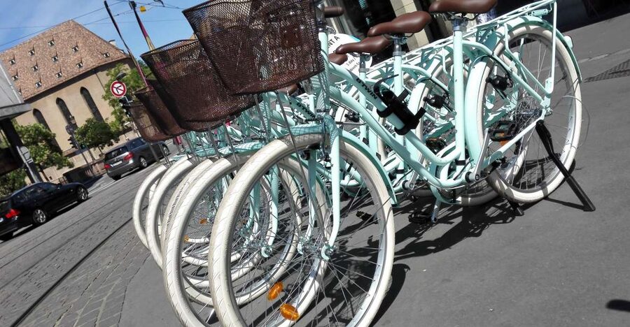 Strasbourg: 1-Day Bike Rental - Staff service and bike condition