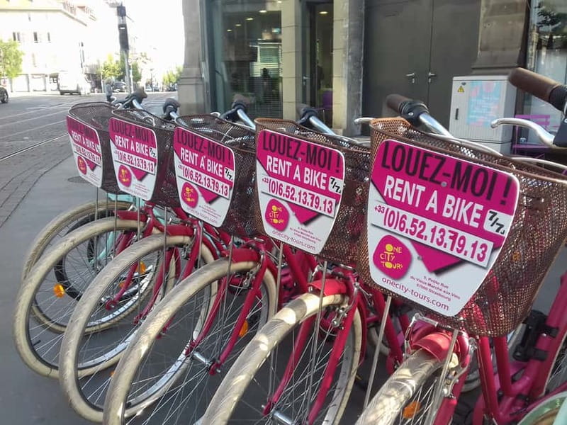 Strasbourg: Bike Tour with a Guide bikes included - Pace, safety, and the mixed-group issue