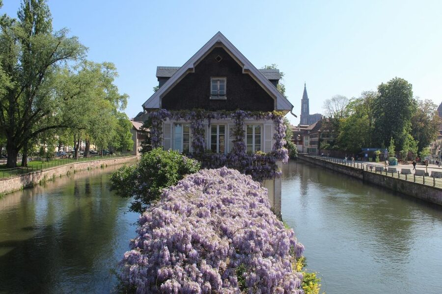 Strasbourg: Walking Tour with Local Guide - Starting near Place d’Austerlitz and the old city