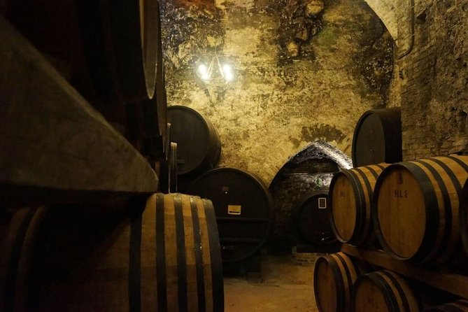 Tasting Tour in One of The Most Beautiful Cellars in the World - Key points to know before booking