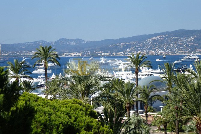 The Best of the French Riviera Small group Guided Tour from Nice - Monaco, the palace, and the Grand Prix circuit