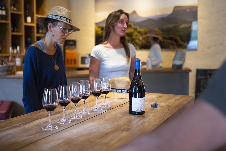 The Châteaux of Grès de Montpellier & Wine Tasting - Final call: book or skip?