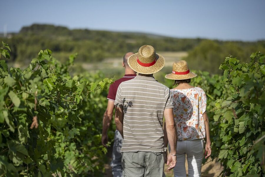 The Châteaux of Grès de Montpellier & Wine Tasting - Is $93 a fair price?
