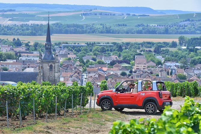 The Connoisseurs from Epernay (Private Half day Champagne Tour) - Through Cramant, Avize, and the Côte des Blancs