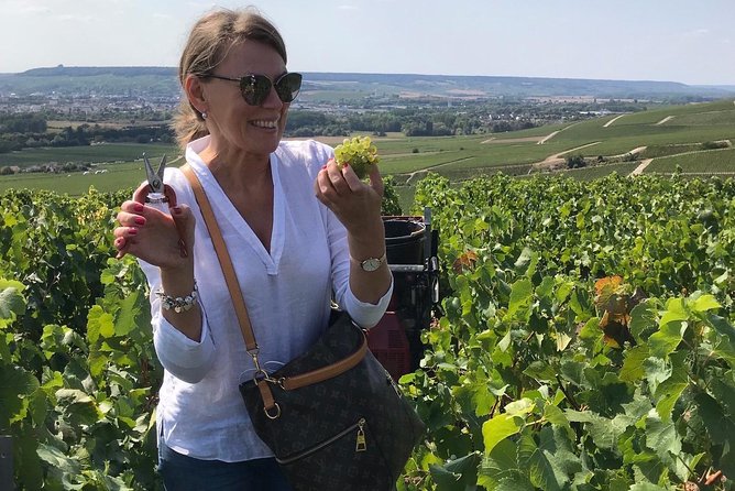 The Connoisseurs from Epernay (Private Half day Champagne Tour) - Avenue de Champagne in Epernay