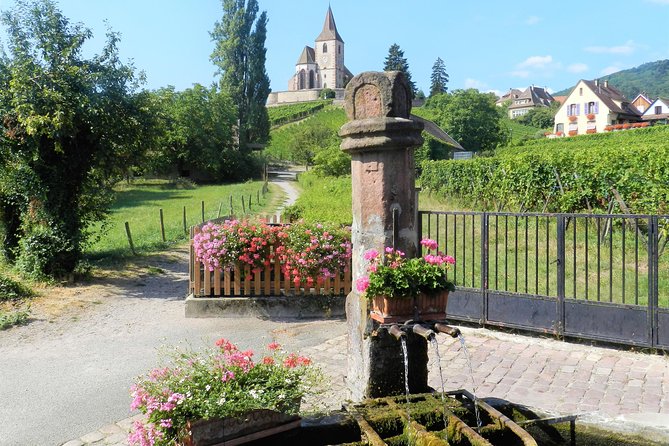 The Emblematic: visit of villages, Haut-Koenigsbourg, Wine tasting - Why this route works so well from Colmar