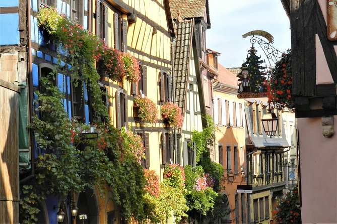The Emblematic: visit of villages, Haut-Koenigsbourg, Wine tasting - Pace, weather, and group comfort