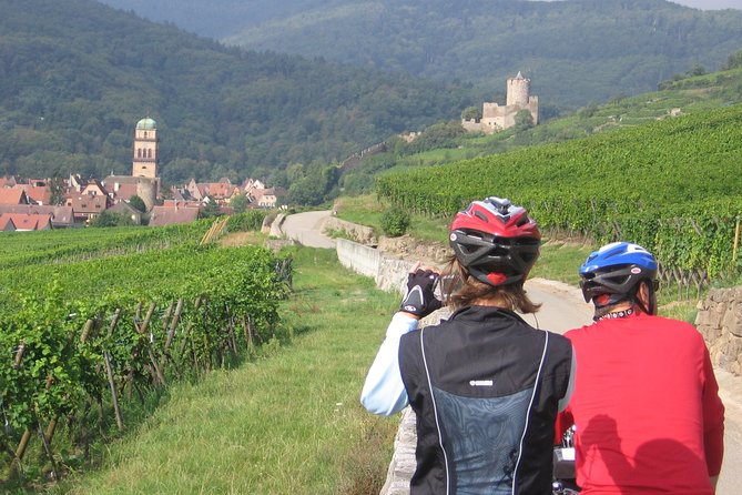 Through Alsace Vineyards and Wine Villages Private Bike Tour - Riding from Voegtlinshoffen into wine country