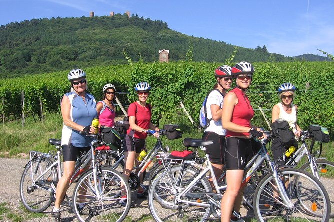 Through Alsace Vineyards and Wine Villages Private Bike Tour - A full tasting in Voegtlinshoffen
