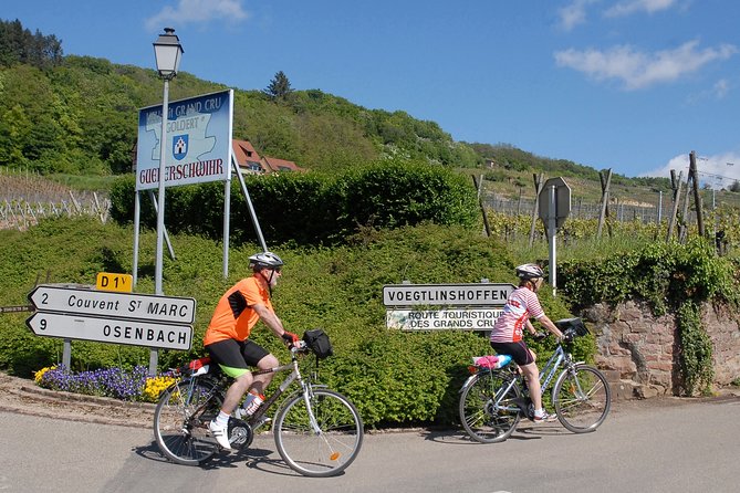 Through Alsace Vineyards and Wine Villages Private Bike Tour - What the private format changes