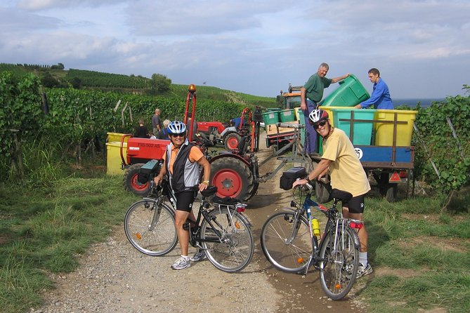 Through Alsace Vineyards and Wine Villages Private Bike Tour - Glenn as your guide