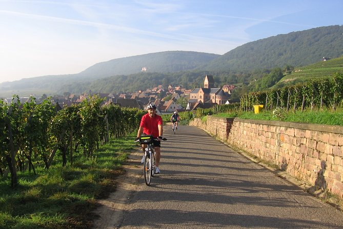 Through Alsace Vineyards and Wine Villages Private Bike Tour - Who will enjoy this ride most