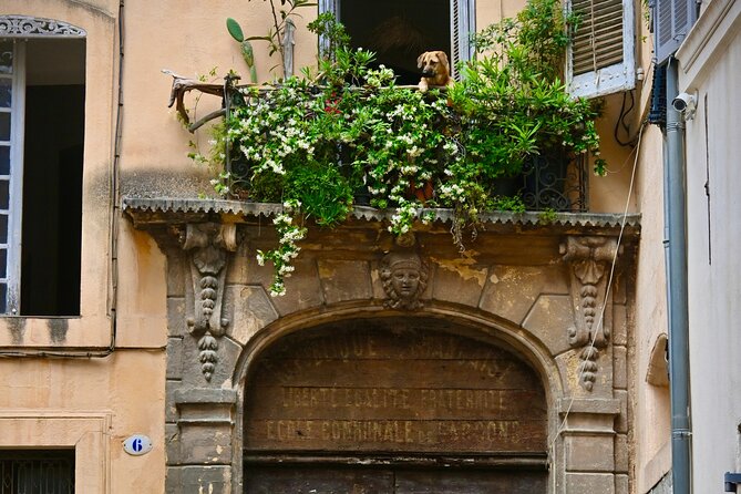 Time flies in this complete tour of Aix-en-Provence - Place Richelme and the town hall