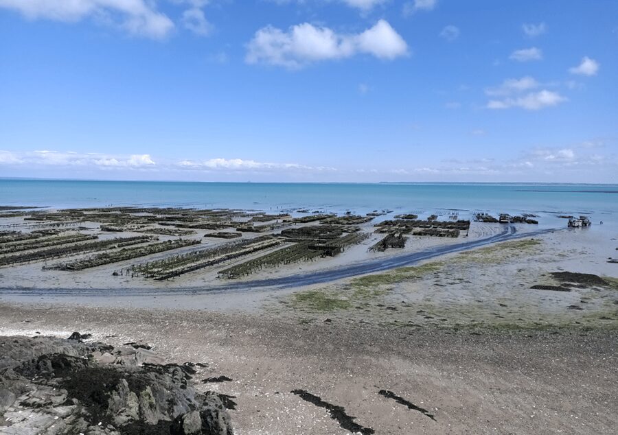 Tour from Rennes : Mont Saint-Michel & Cancale & Saint-Malo - What the $85 includes and what it does not