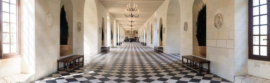 Tours/Amboise: Chambord, Chenonceau Day Trip & Wine Tasting - Chenonceau: a castle built across the River Cher