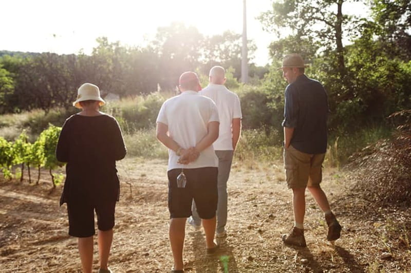Truffle Hunting in Provence - Key points to know before booking