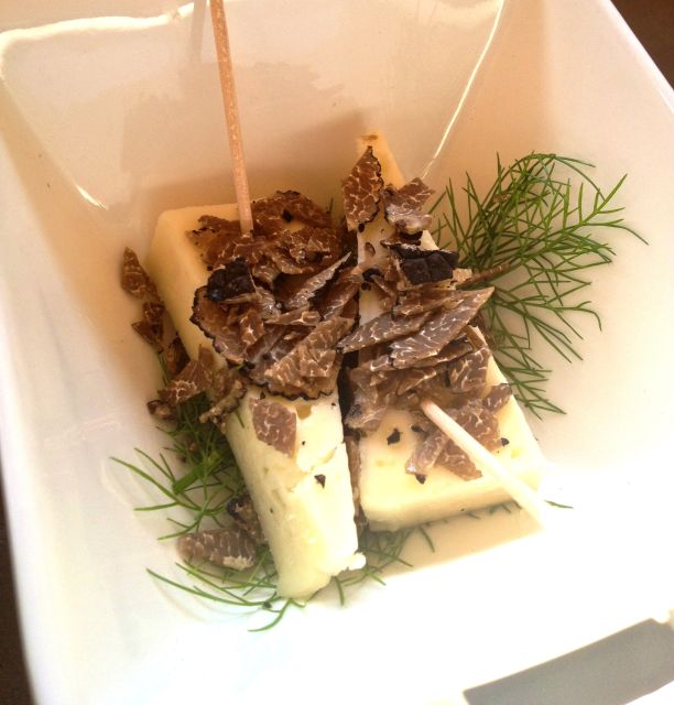 Truffle Hunting in Provence - Seeing the wider farm beyond the truffles