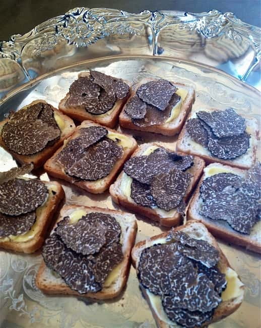 Truffle Hunting in Provence - Is the $132 price good value?