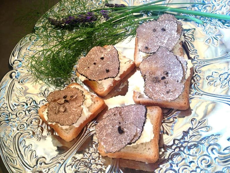 Truffle Hunting in Provence - Practical planning for your day