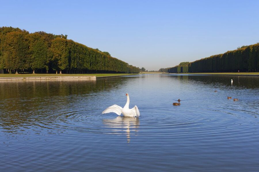 Versailles: Skip-the-Line Guided Tour of Palace with Gardens - The Queen’s Hamlet and the limits of the visit