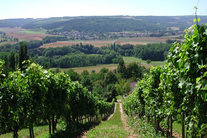 Visit-Tasting-Sale - Should you book this Burgundy wine tasting?