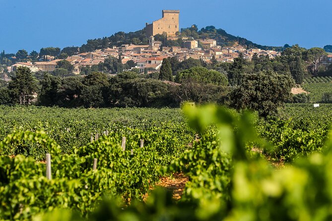 Wine Tasting Tour at Châteauneuf du Pape - Key points to know before booking