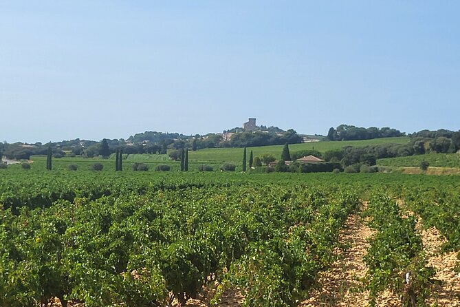 Wine Tasting Tour at Châteauneuf du Pape - Seeing the vines and the old château