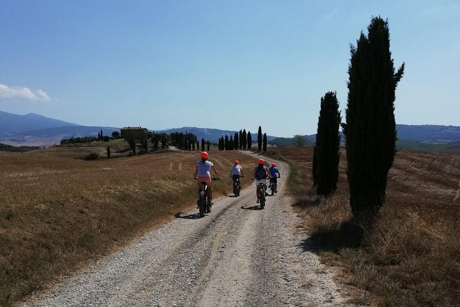 Wine Tour Ebike Experience - The climbs are real, even with electric help