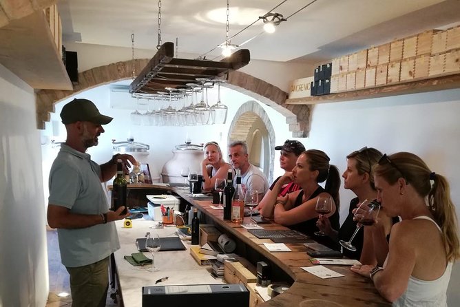 Wine Tour Ebike Experience - Starting at Piazza Grande and Urban Bikery