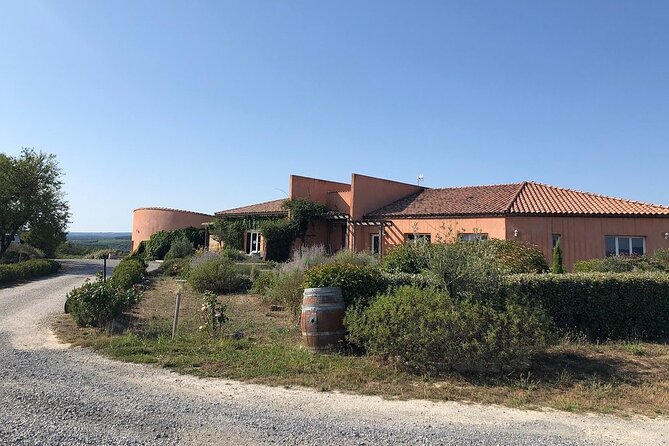 Winery Tour & Wine Tasting - Deli Plate & 3 Wines - From vine pruning to the first taste