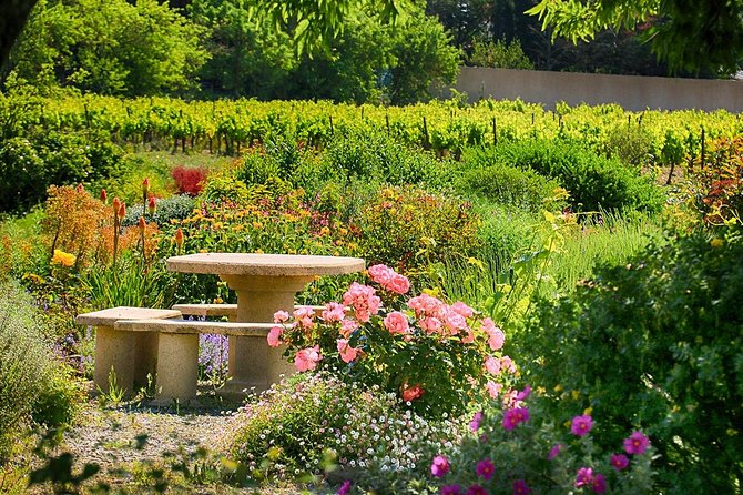 Winery Tour & Wine Tasting - Deli Plate & 3 Wines - Booking details that deserve attention