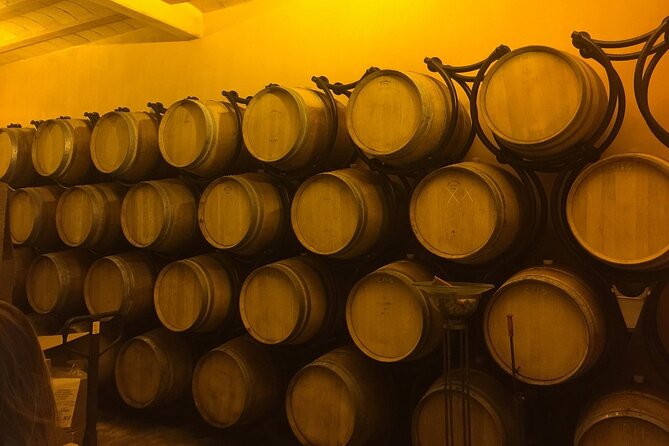 Winery Visit with Food and Wine in Carcassonne - Seeing the equipment and barrel room
